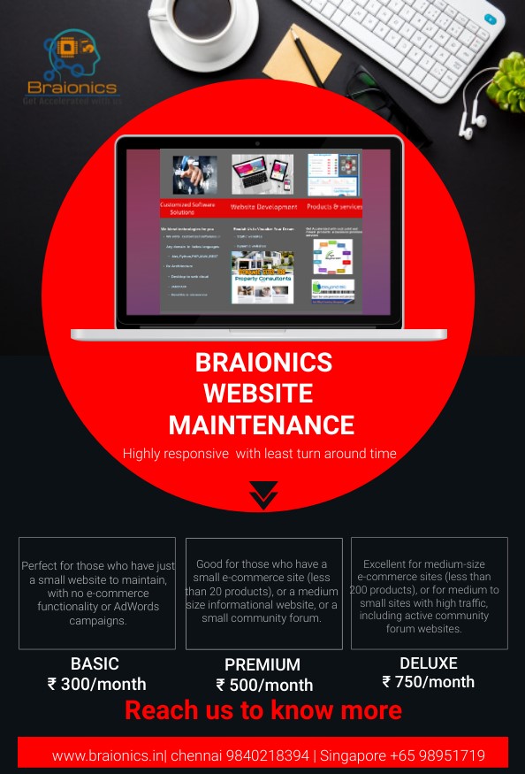 Braionics Website Maintenance